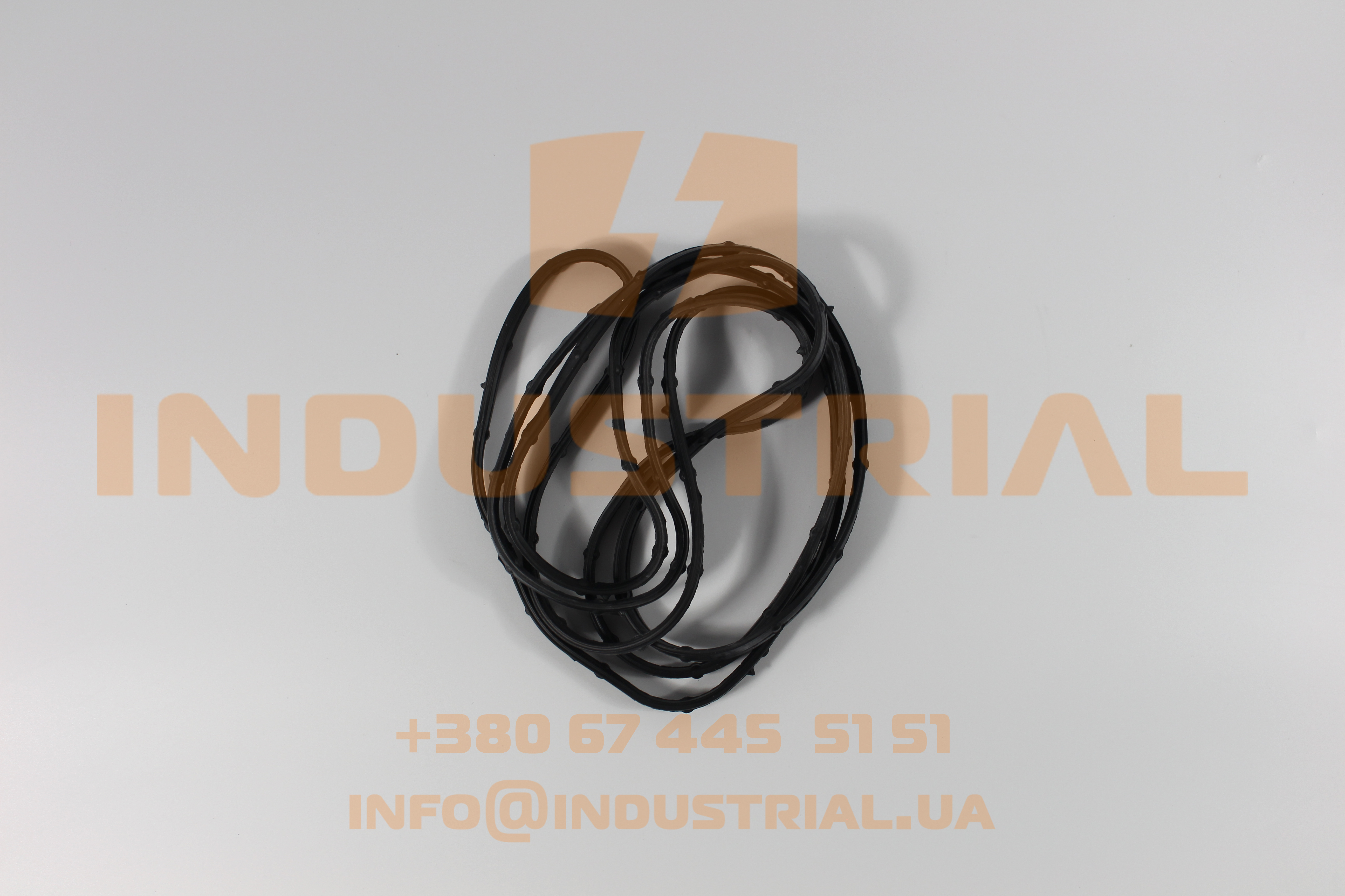 LEM 0211869 LEMA